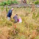 A young helper- Cambridge Tree Trust